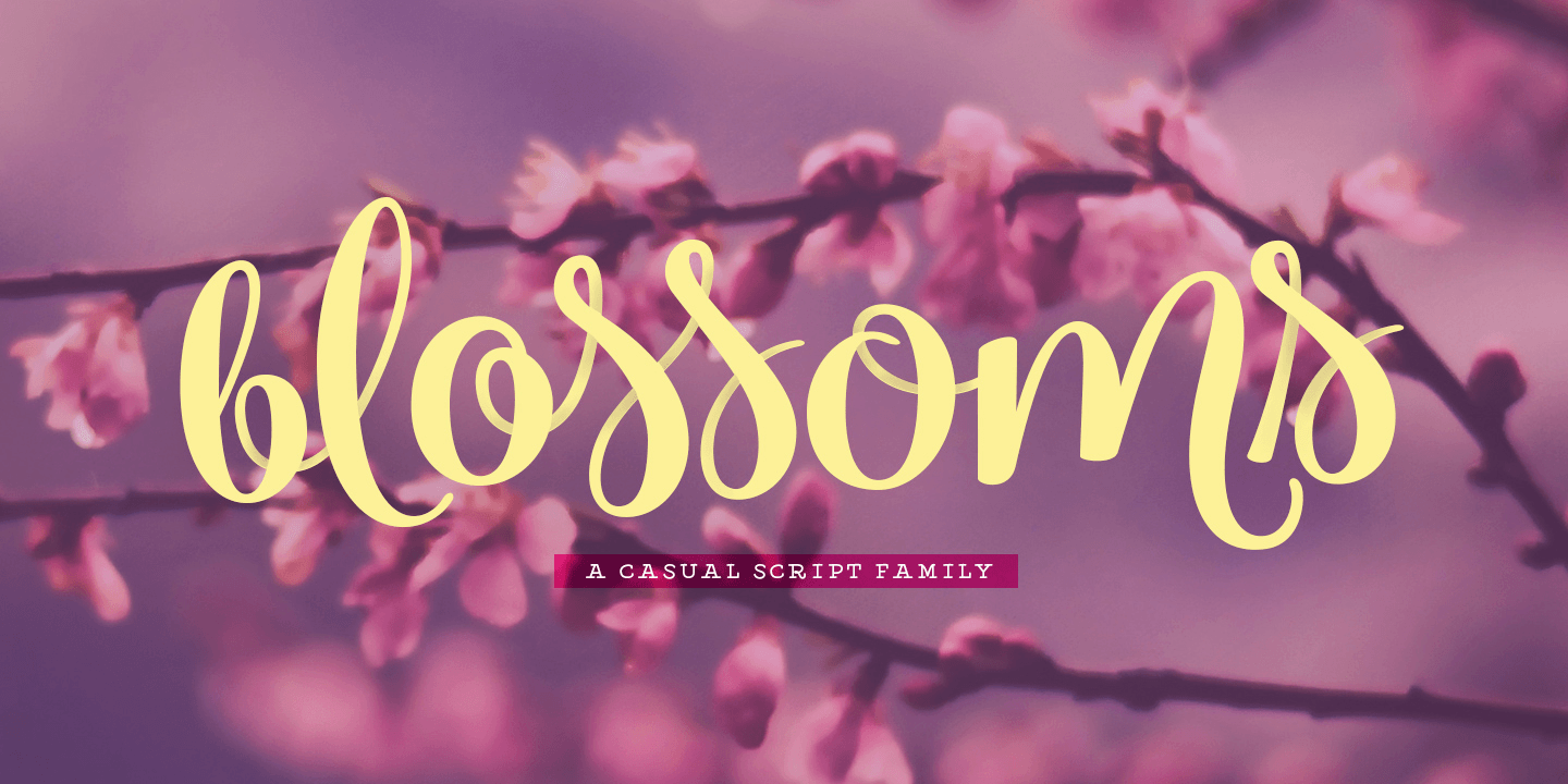 Blossoms Font Family Poster