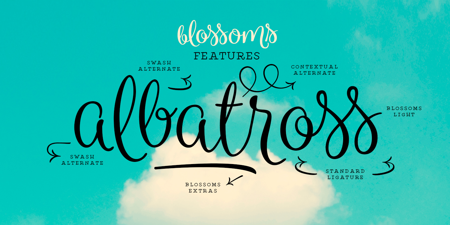 Blossoms Font Poster #1