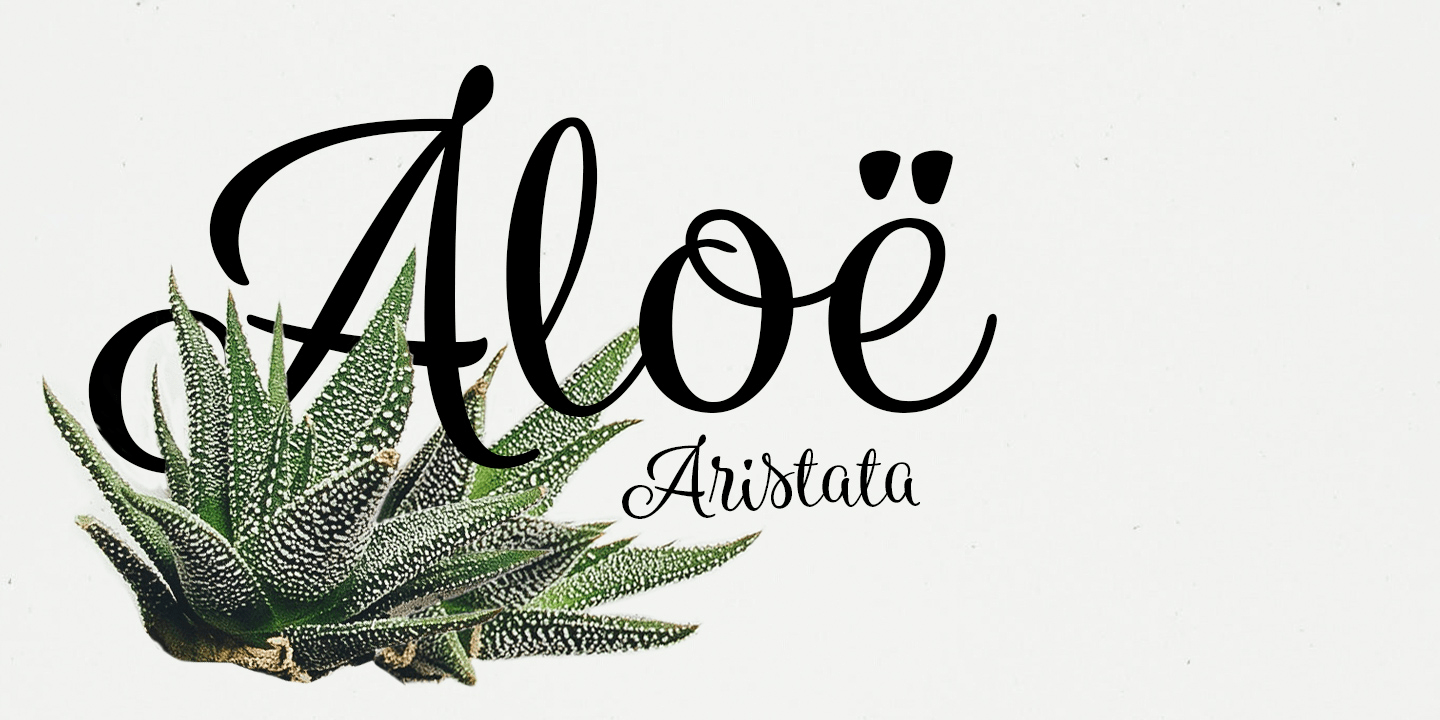 Blossoms Font Poster #1