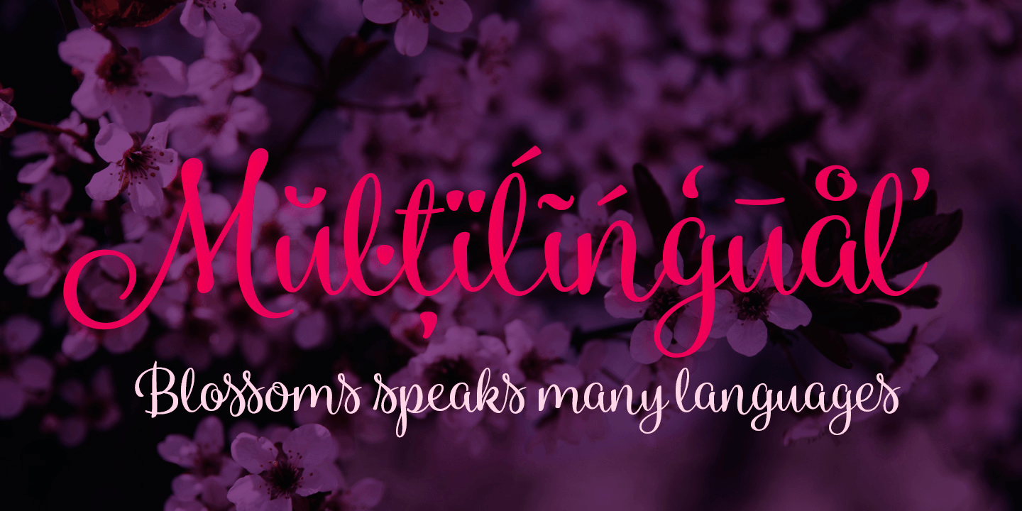 Blossoms Font Poster #1