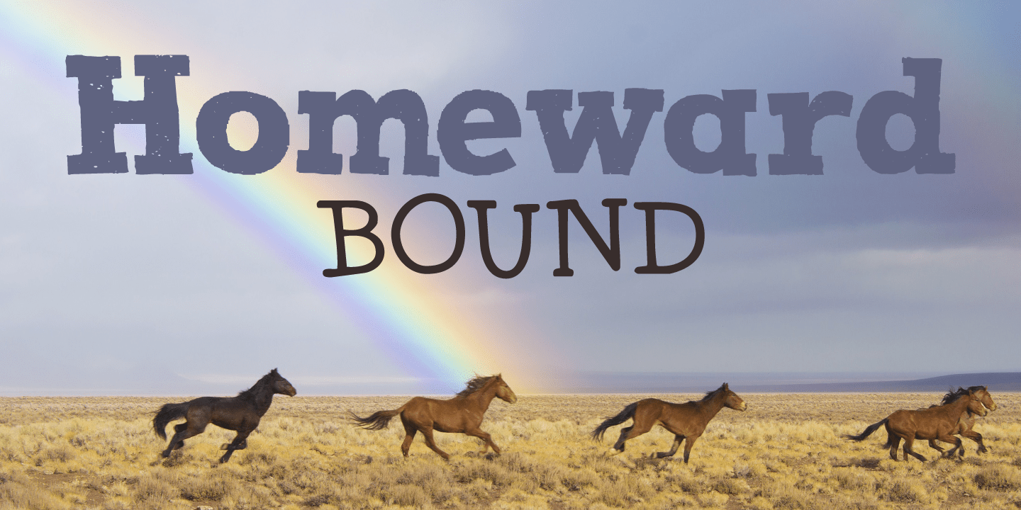 Homeward Bound Font Poster #1