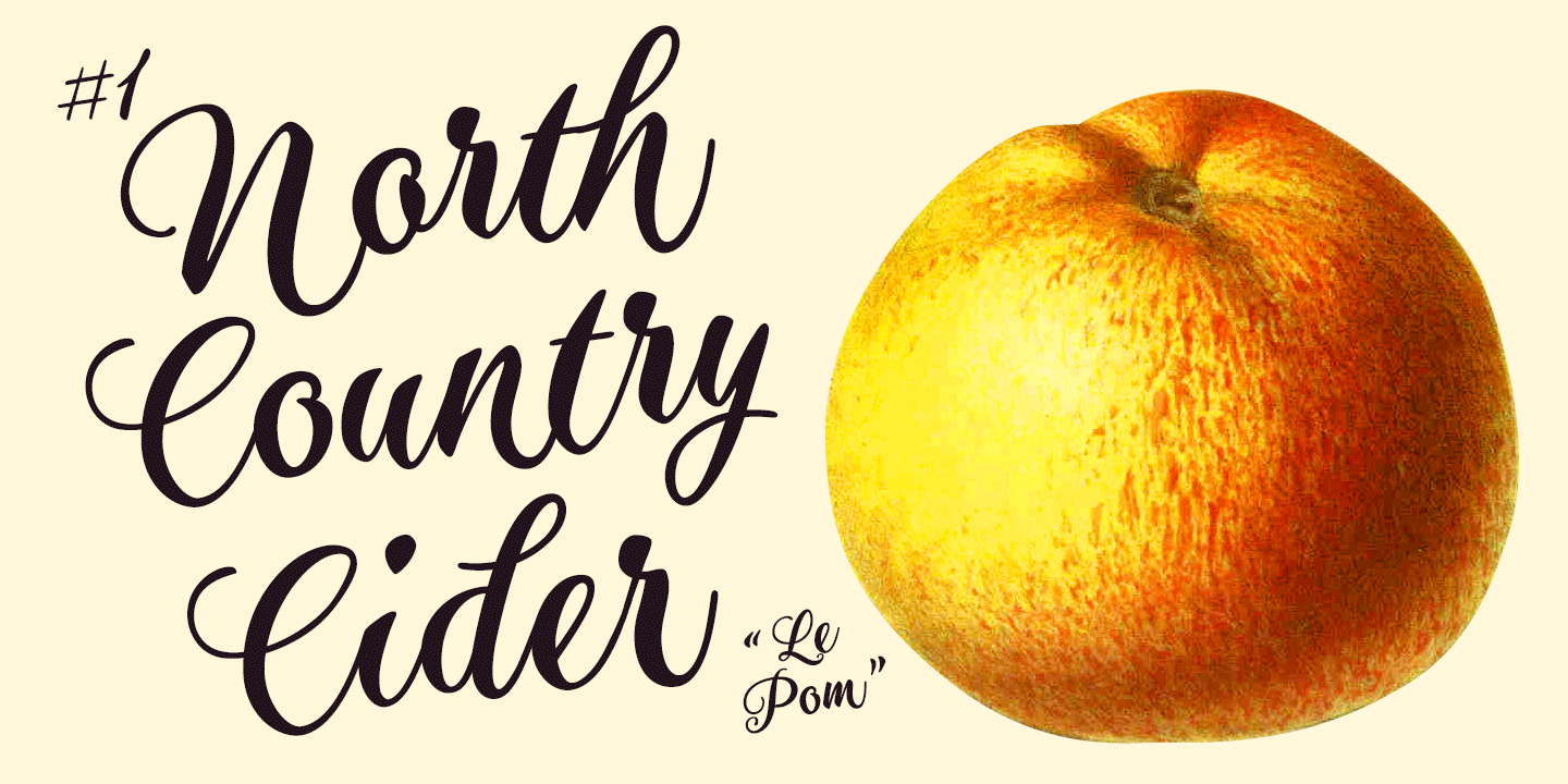 Aster Script Font Family