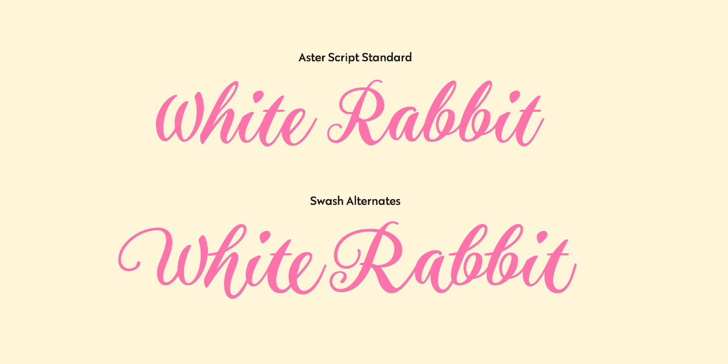 Aster Script Font Family By Fenotype aster-script-font-family-by-fenotype