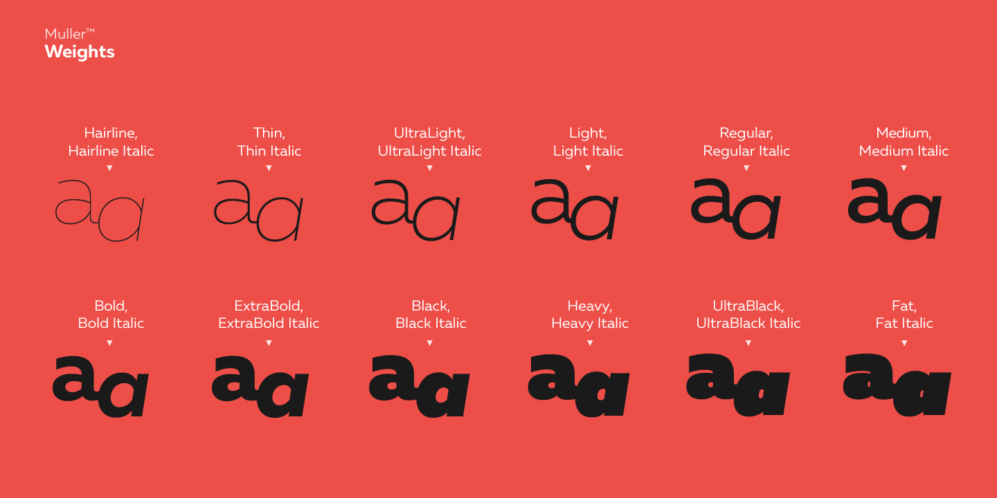 Muller Font Poster #1