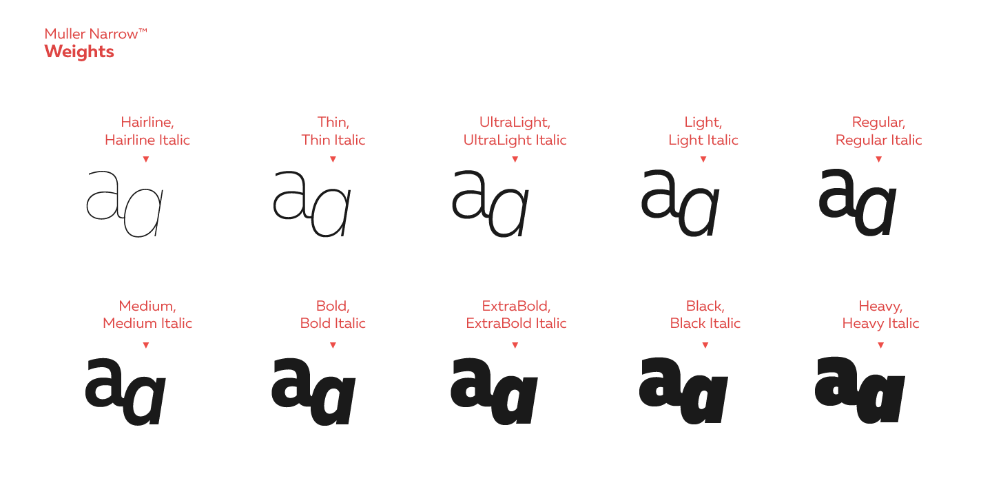 Muller Font Poster #1