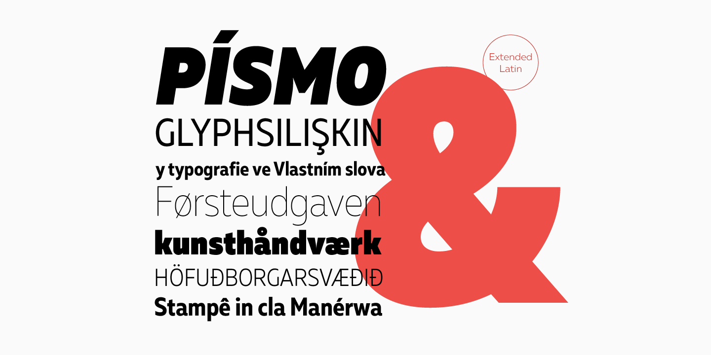 Muller Font Poster #1