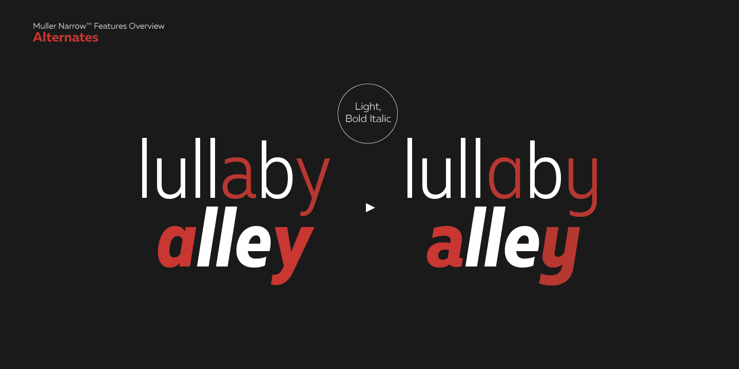 Muller Font Poster #1