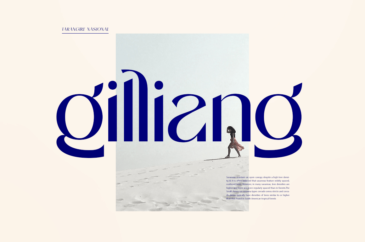 Stanger Font Poster #1