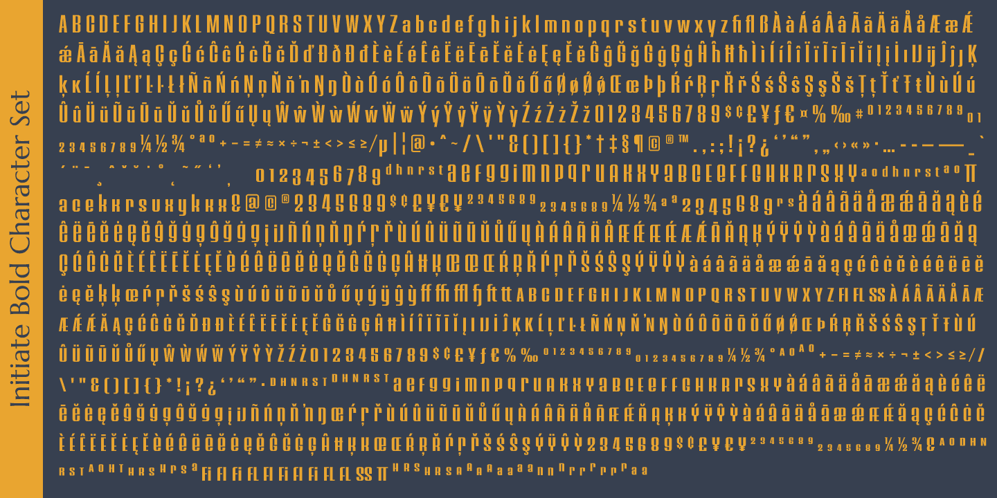 Initiate Font Poster #1