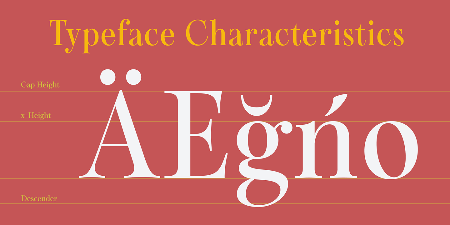 Sociato Font Poster #1