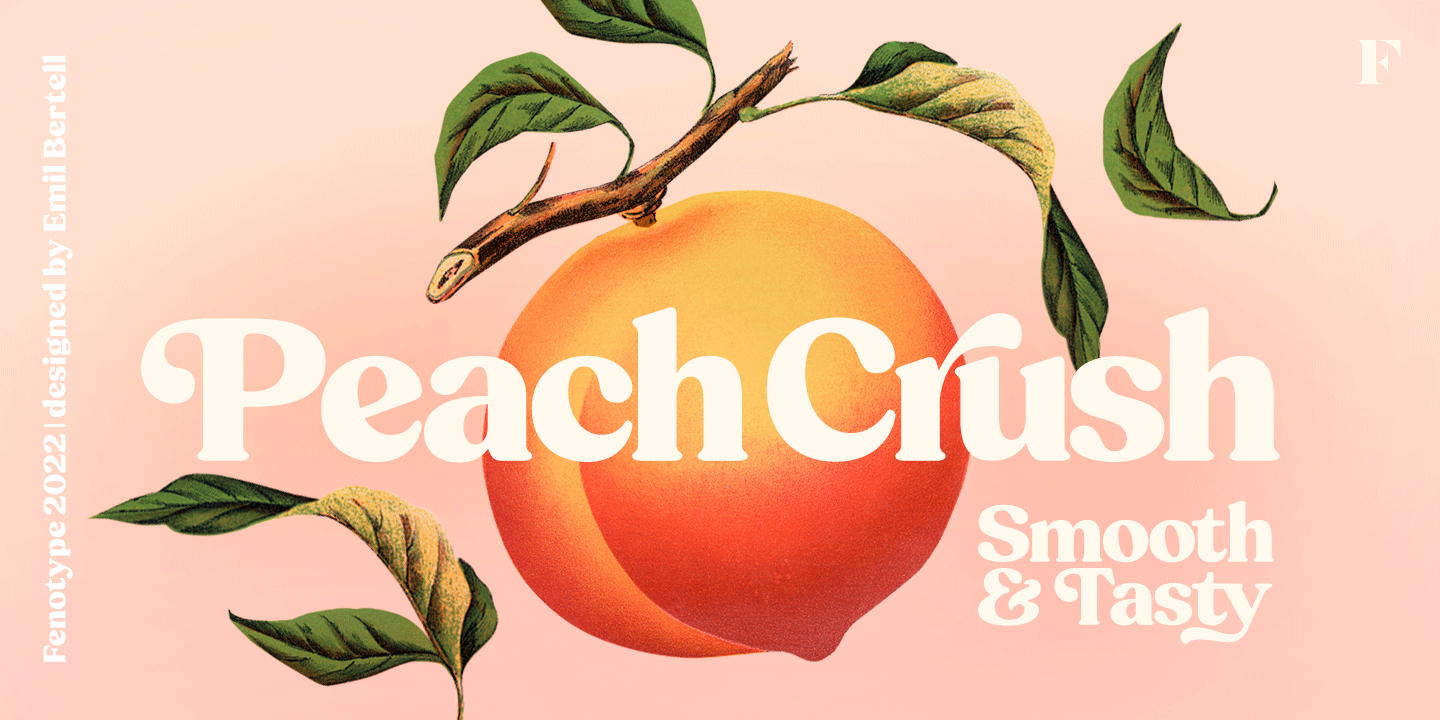 Peach Crush Font Family Poster