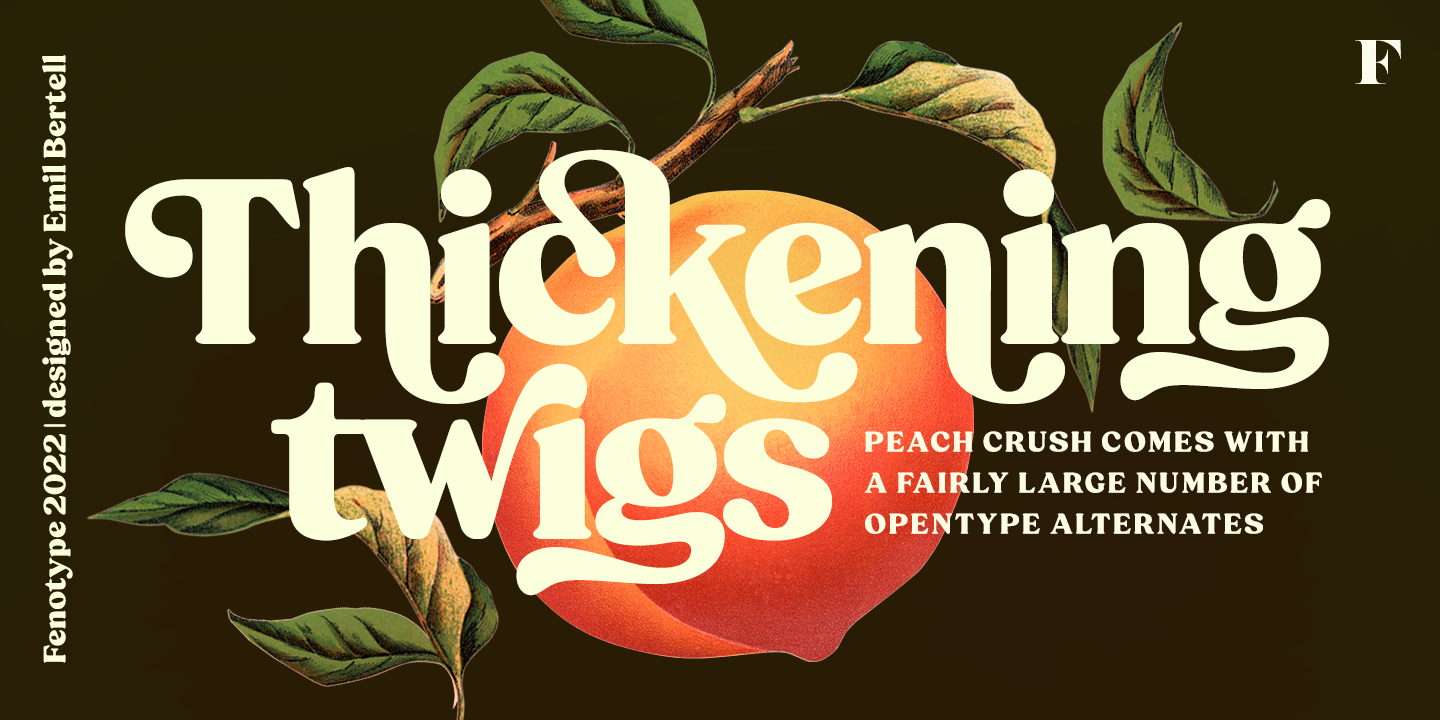 Peach Crush Font Poster #1