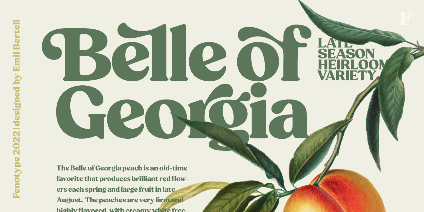 Peach Crush Font Poster #1