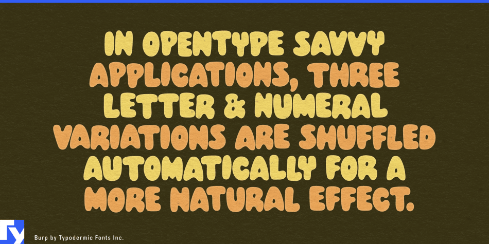 Burp Font Poster #1