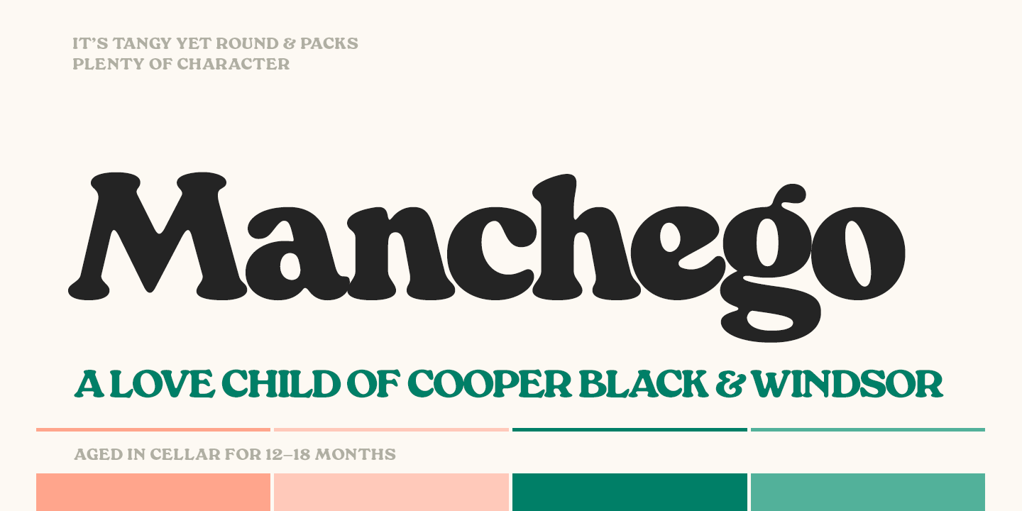 Manchego Font Family Poster
