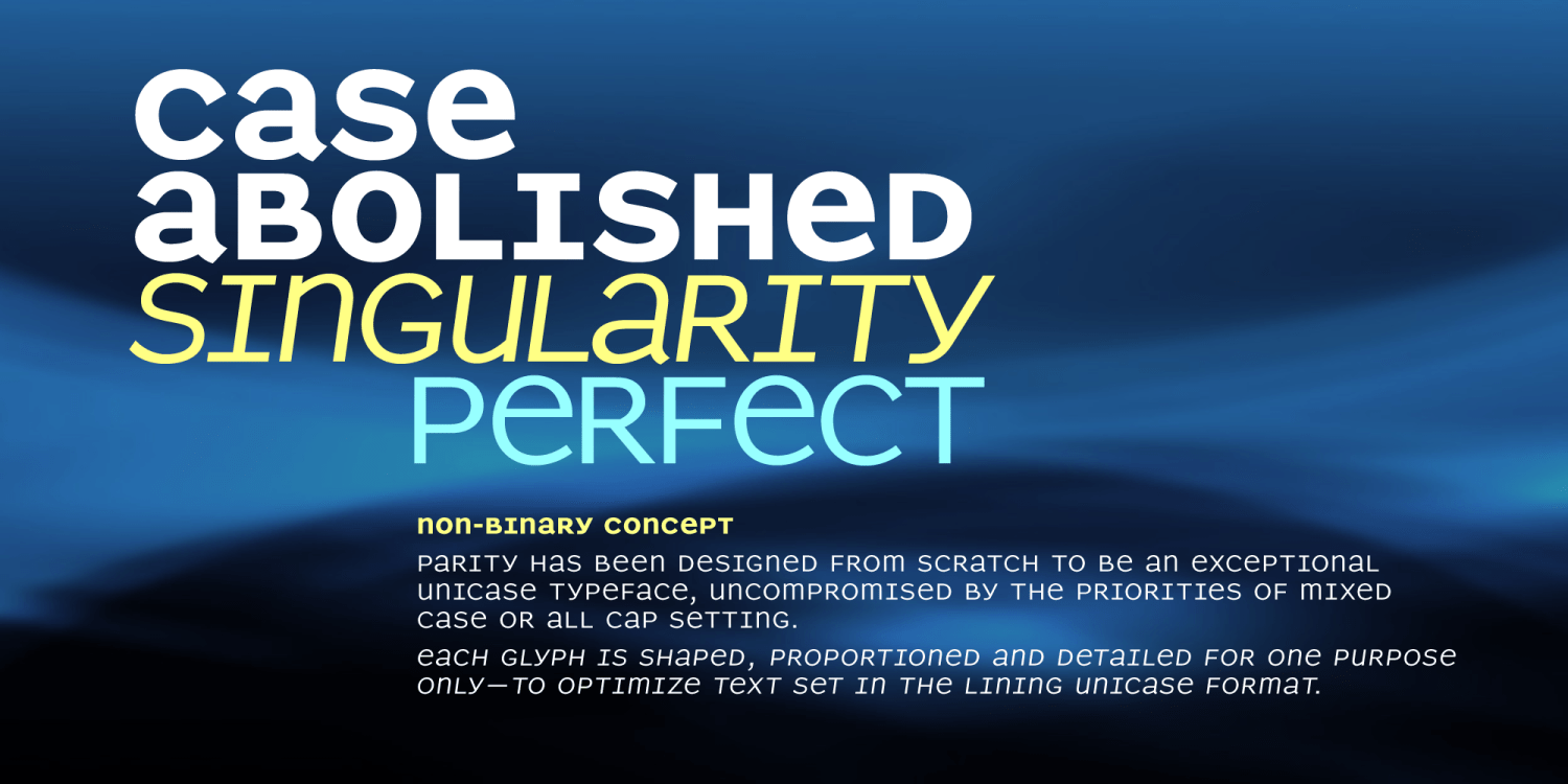 Parity Sans Font Poster #1