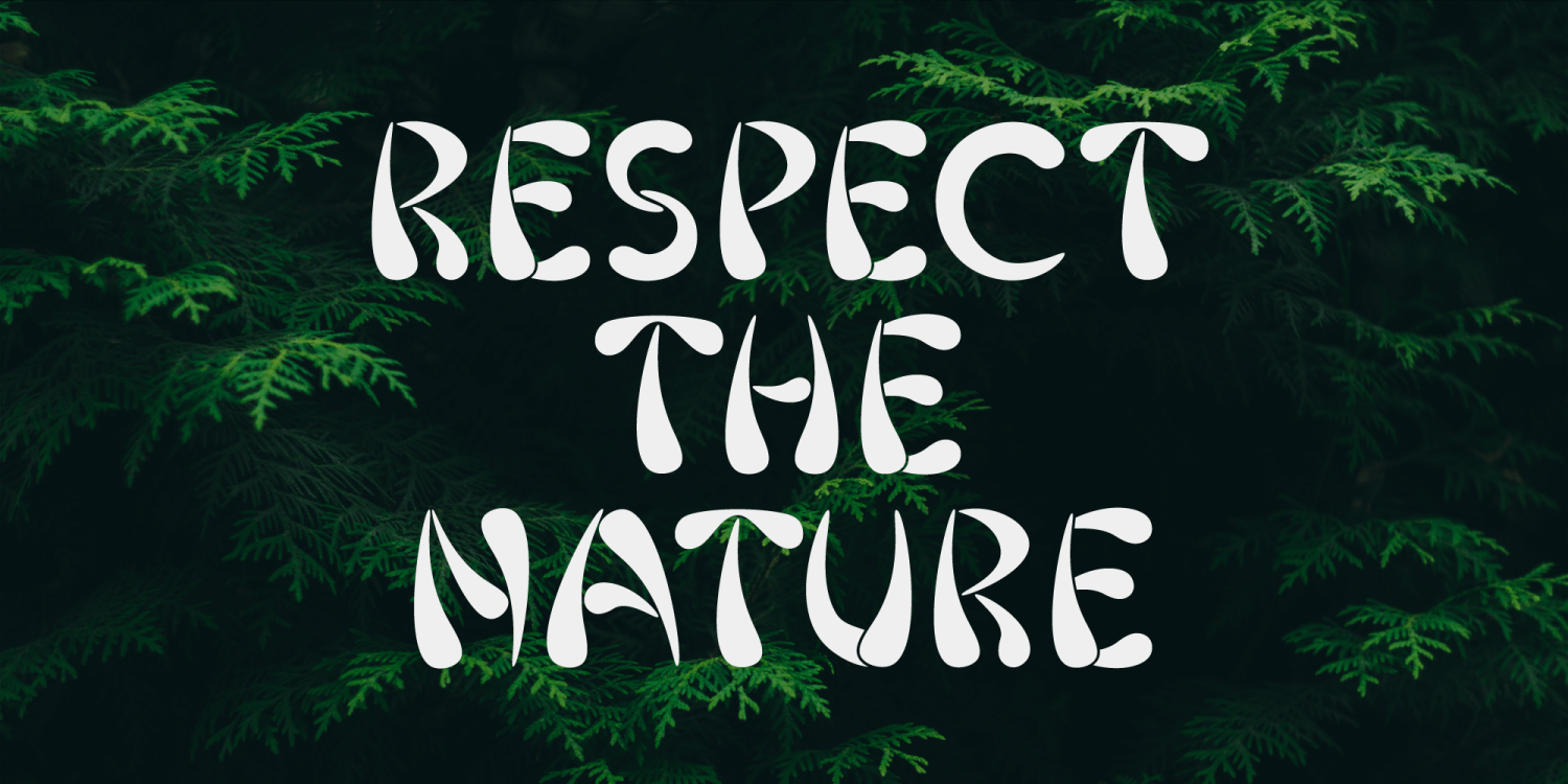 Hawaii Summer Font Poster #1