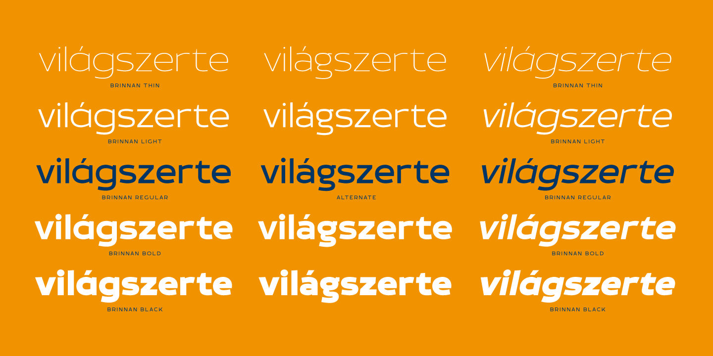 Brinnan Font Poster #1