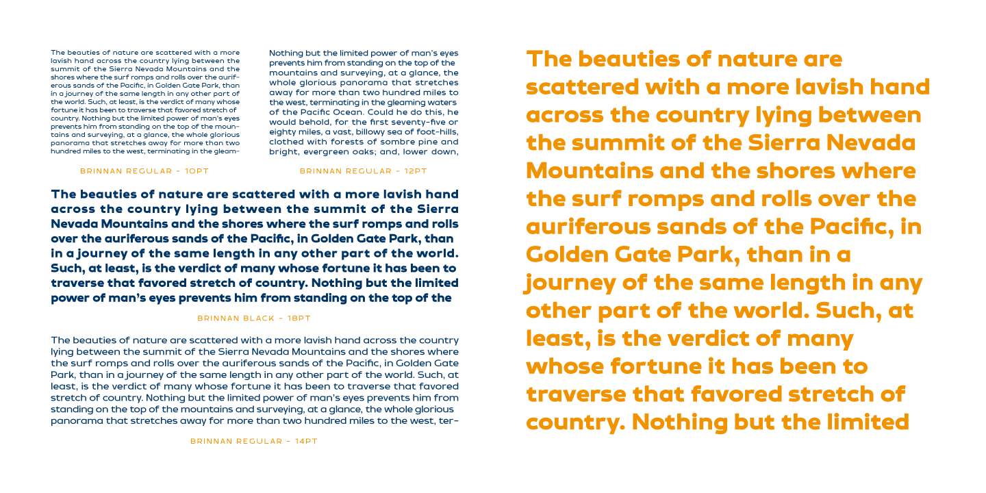 Brinnan Font Poster #1