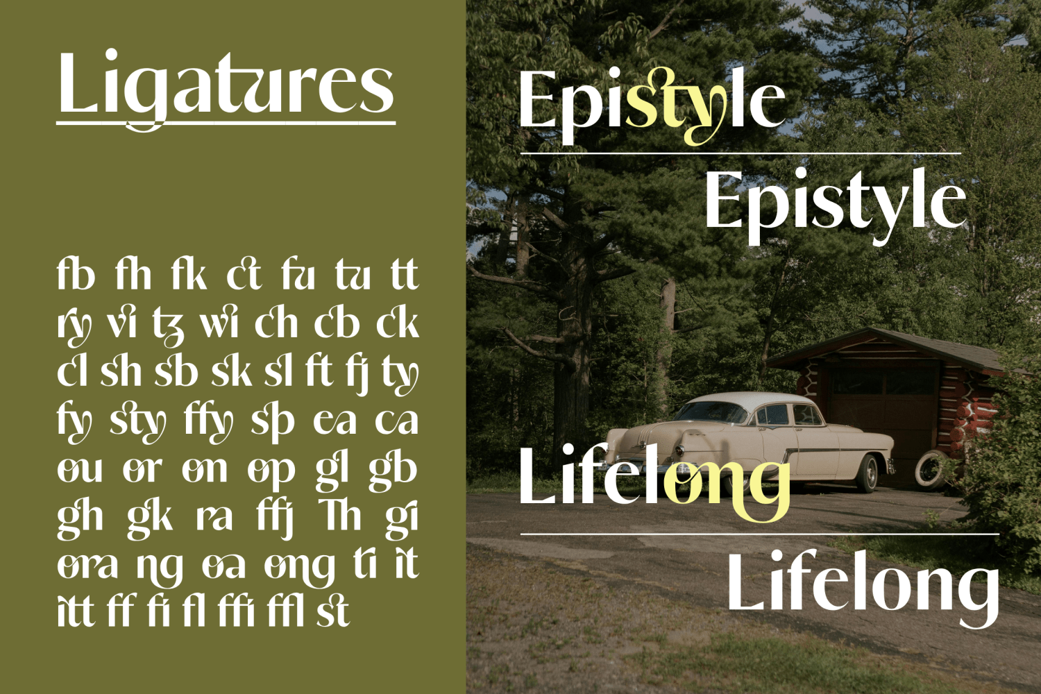 Shelffy Font Poster #1