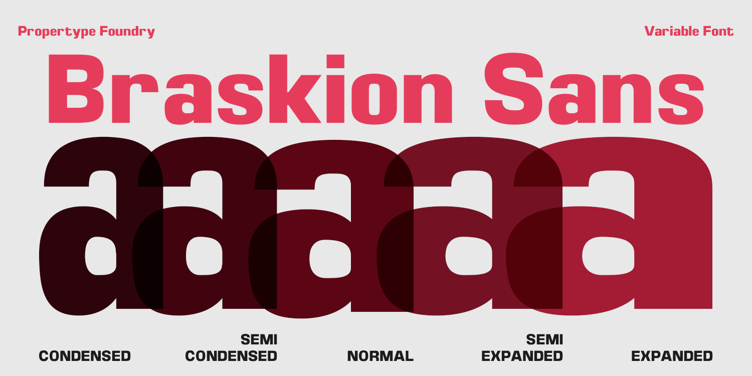Braskion Font Poster #2