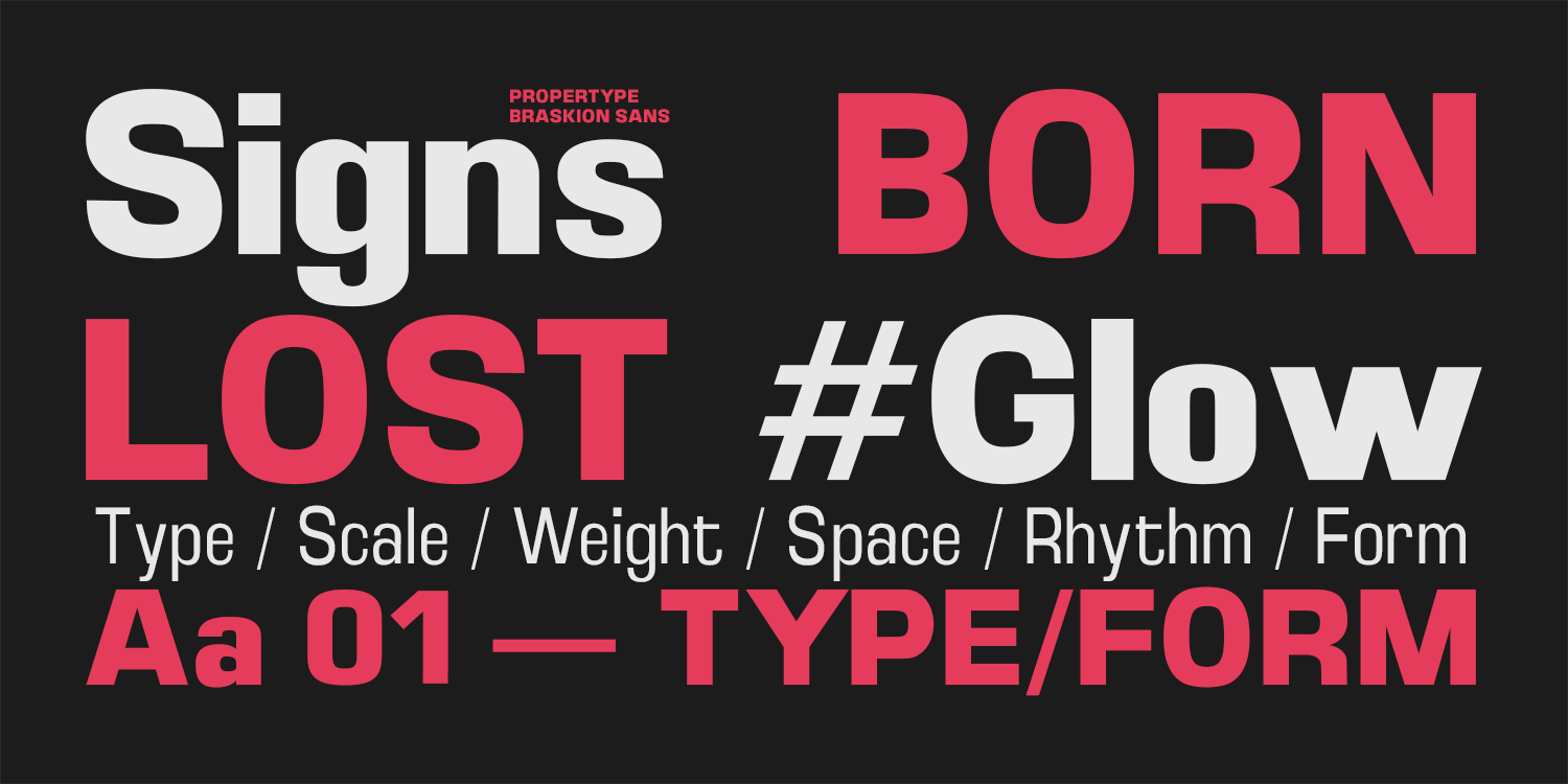 Braskion Font Family Poster