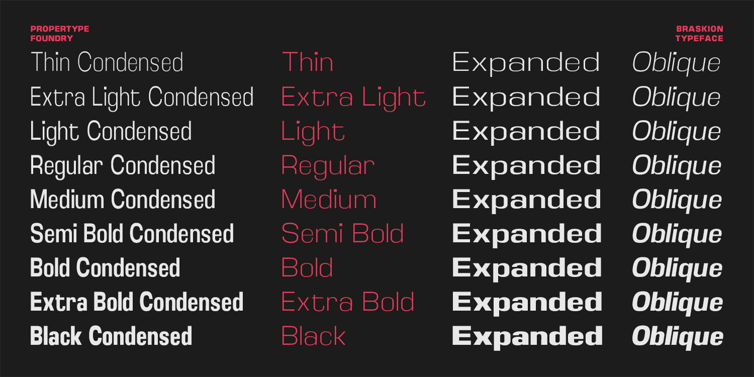Braskion Font Poster #5