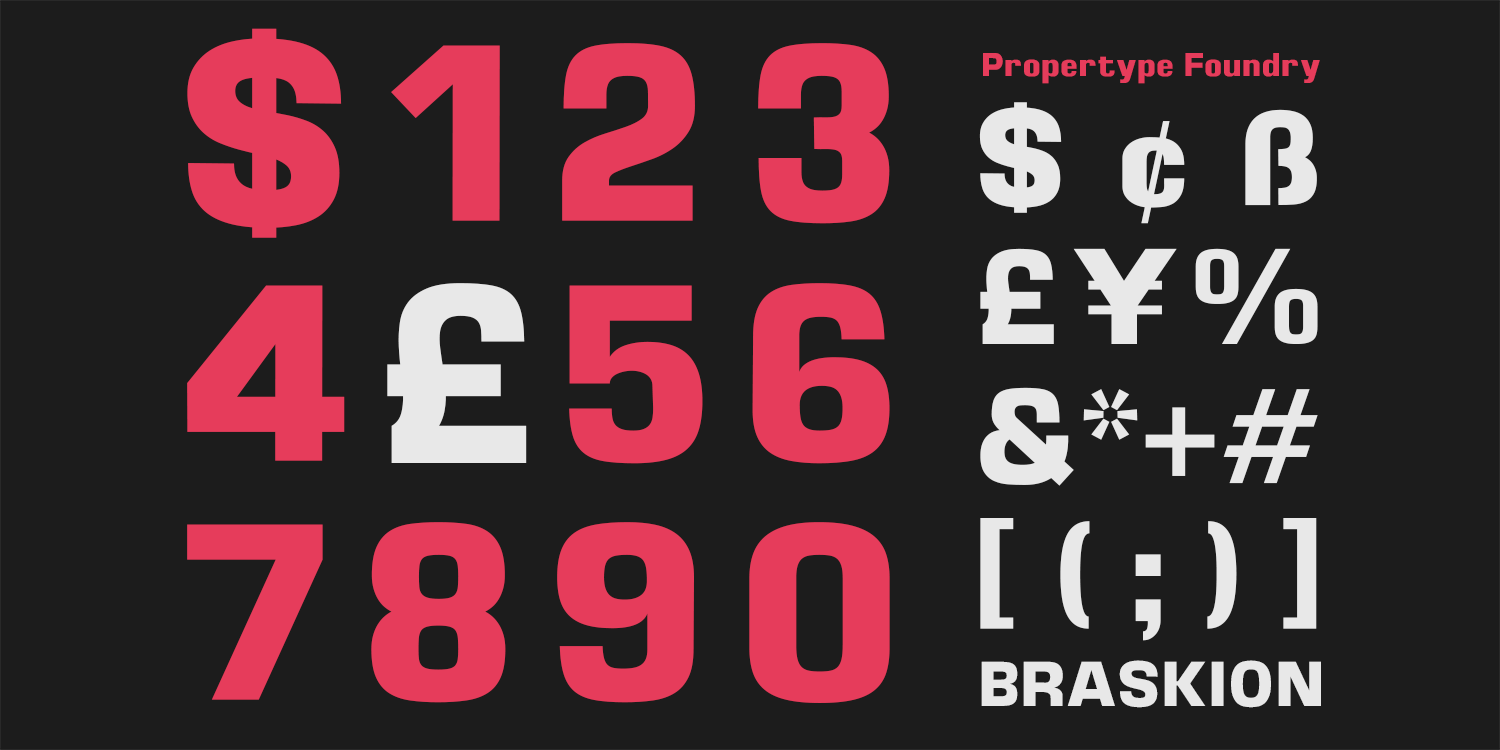 Braskion Font Poster #8