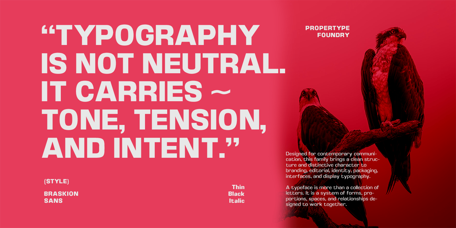 Braskion Font Poster #9