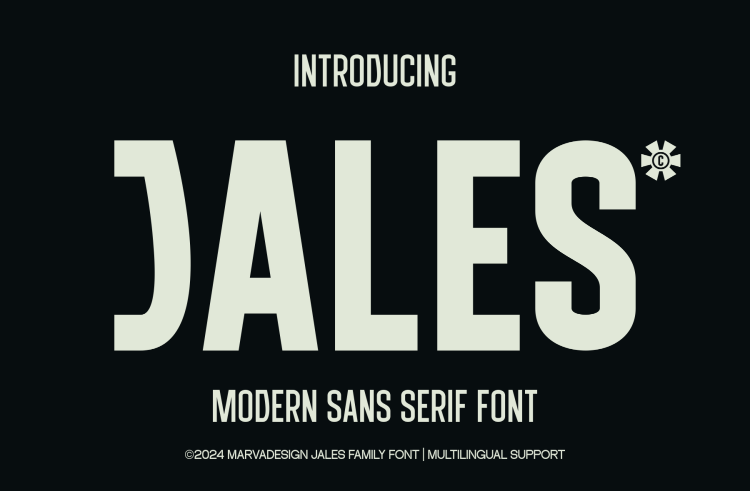 Jales Font Poster #1