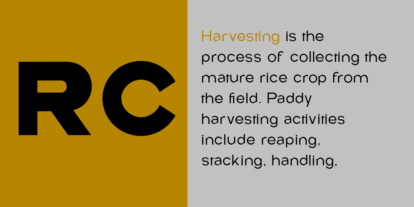 Rice Collect  Font Poster #2