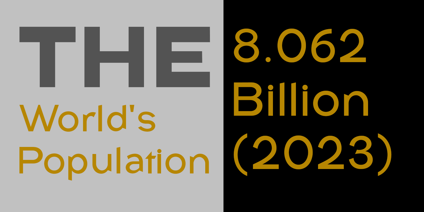 Rice Collect  Font Poster #3