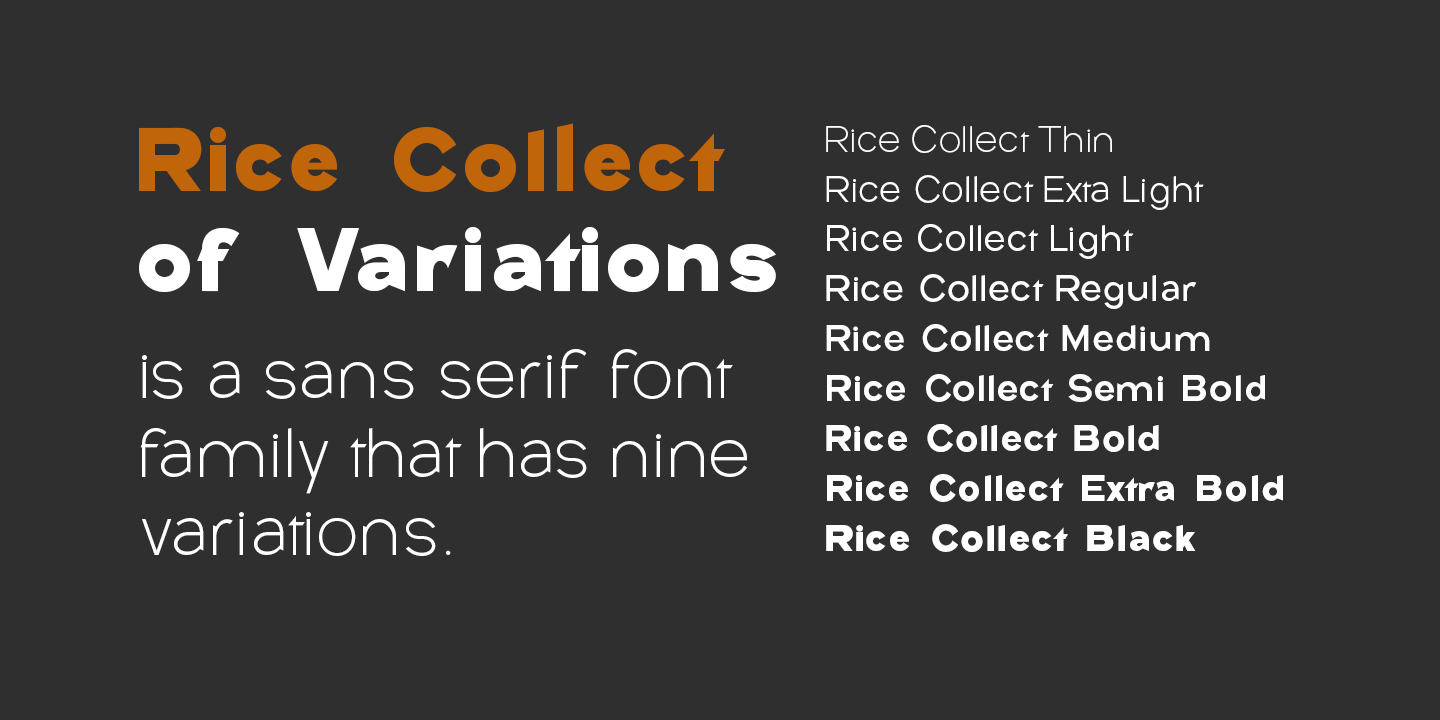 Rice Collect  Font Poster #4