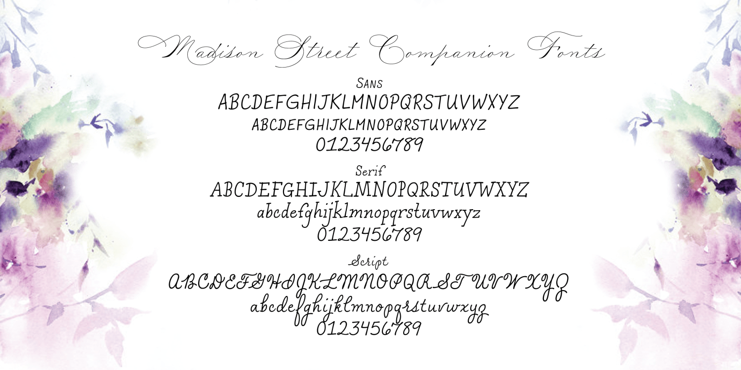 Madison Street Text Family Poster