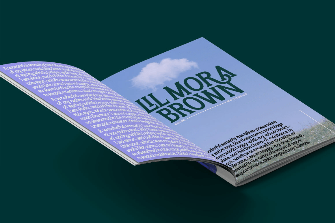Flektura Font Poster #1
