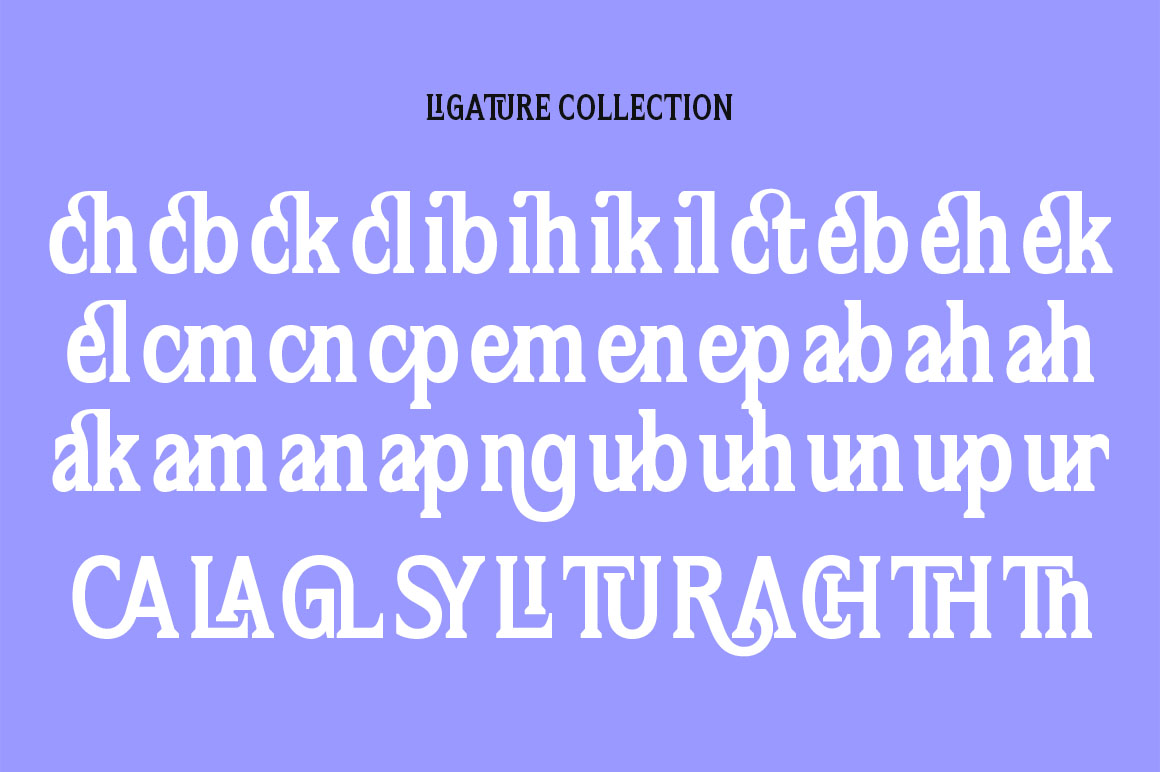 Flektura Font Poster #1