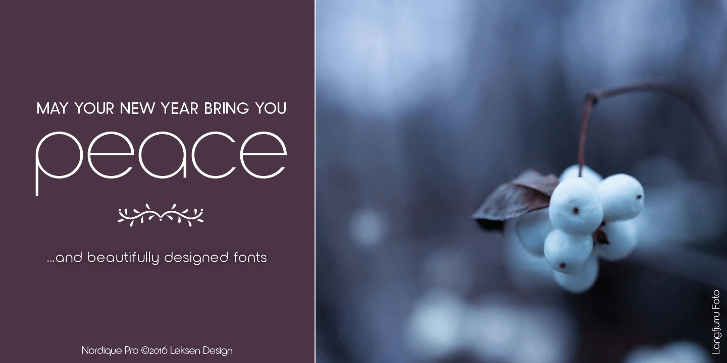 Nordique Pro Full Collection Font Poster #1