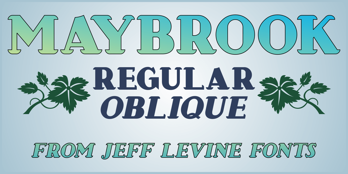 Maybrook Font Family Poster
