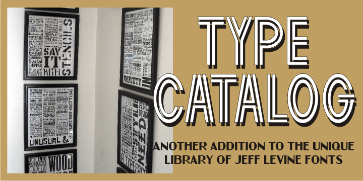 Type Catalog Font Family Poster