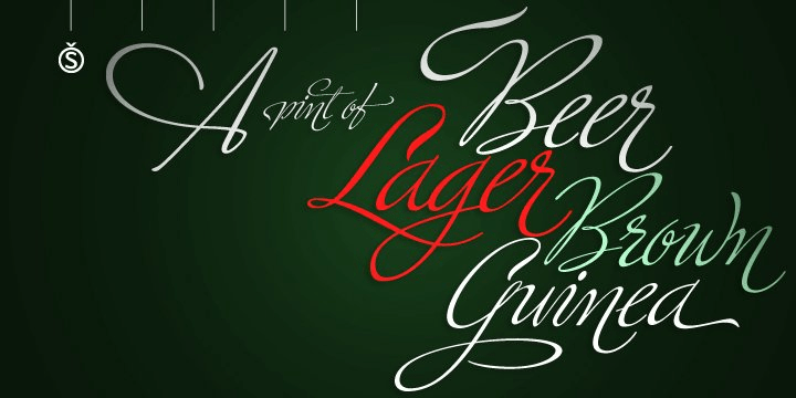 Ministry Script Font Poster #1