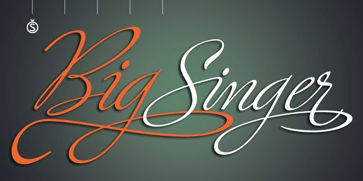 Ministry Script Font Poster #1