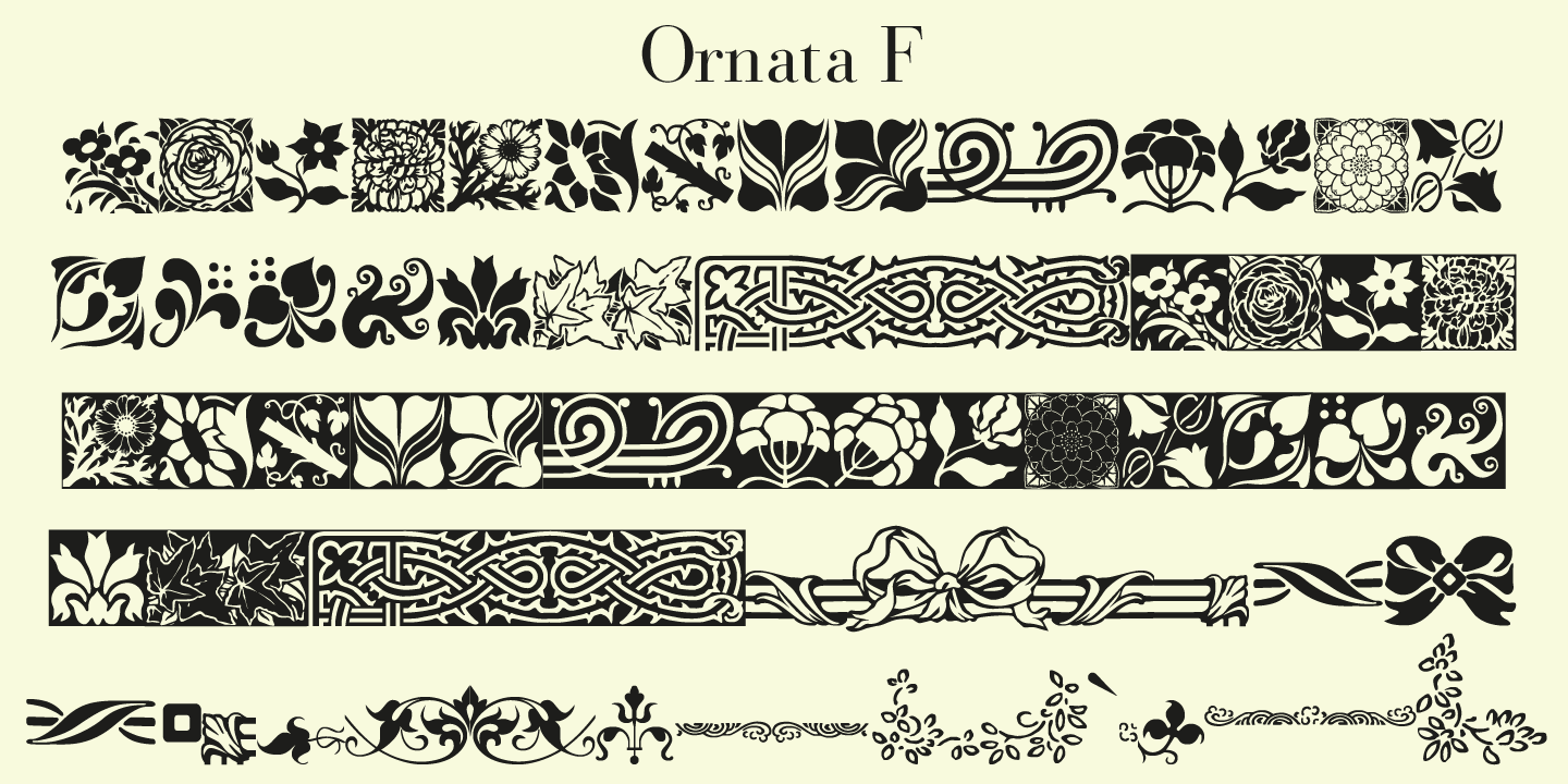 Ornata F Poster