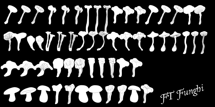 FT Funghi Font Poster #1