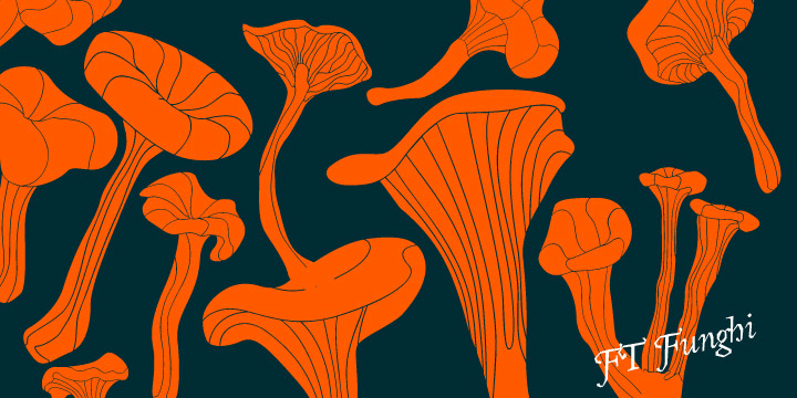 FT Funghi Font Poster #1