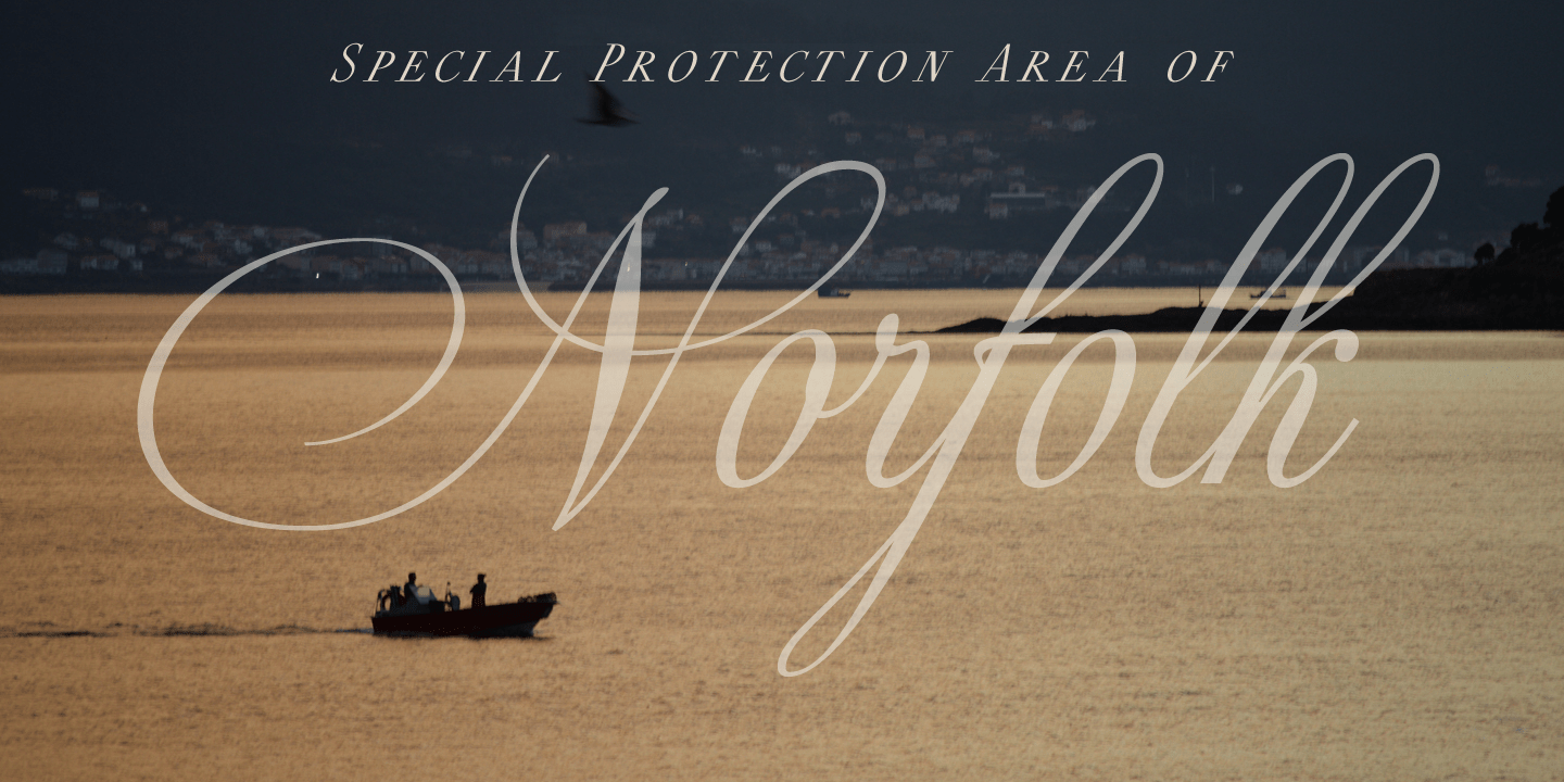 Daevon Font Poster #1