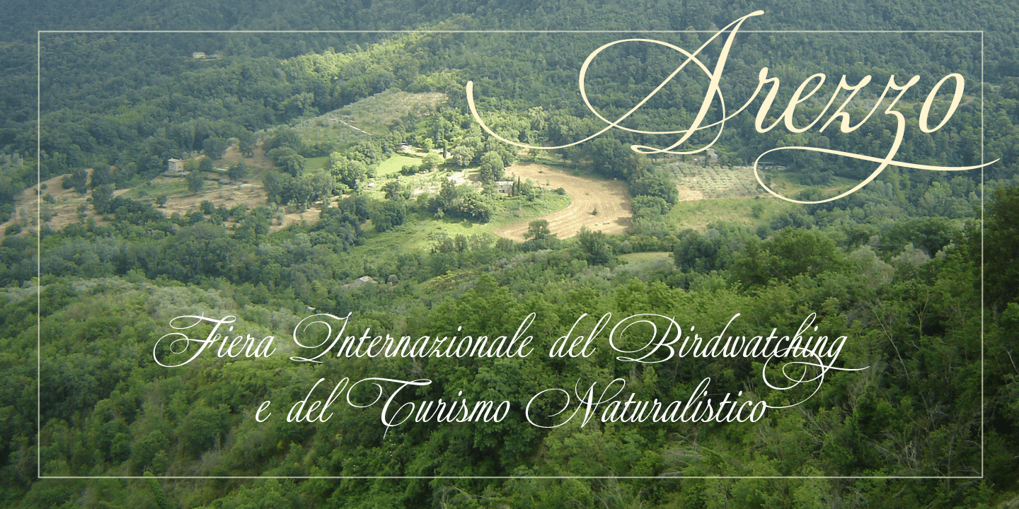 Daevon Font Poster #1