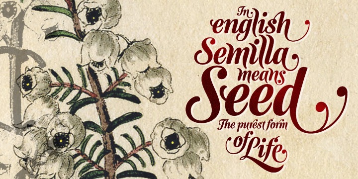 Semilla Poster