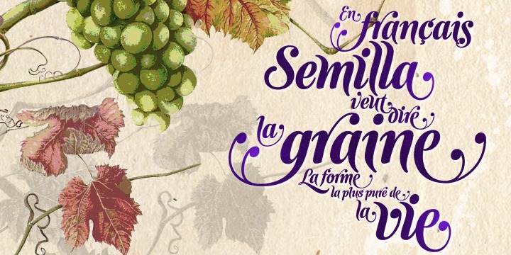 Semilla Font Poster #1