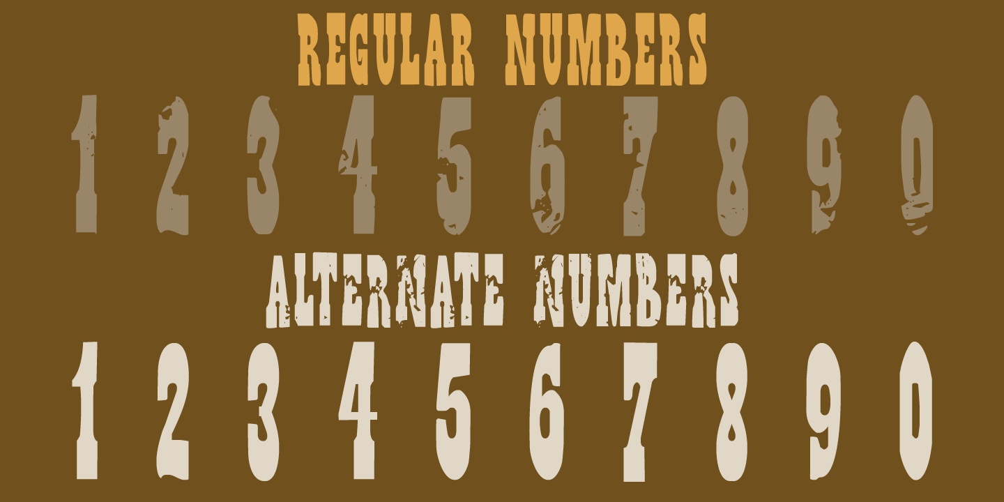Wild Bunch Font Poster #1