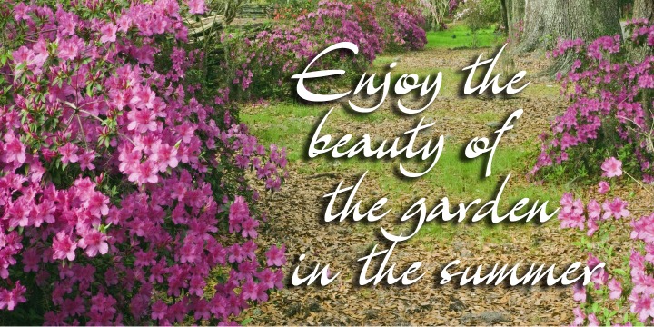 Archivo Font Poster #4